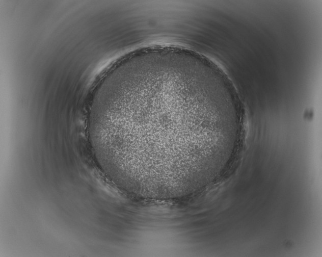 X0000113120823200909111137