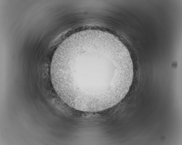 X0000113120824200909111137