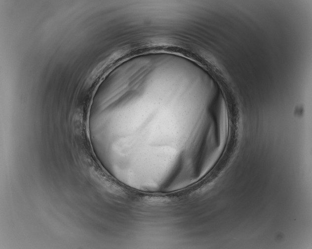 X0000113120825200909111137