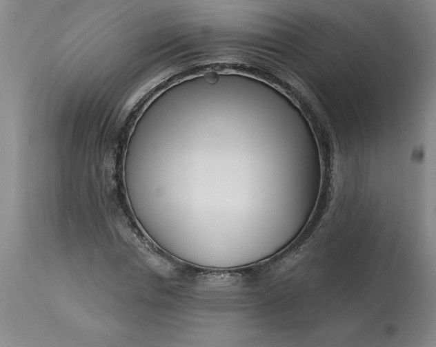 X0000113120826200909111137