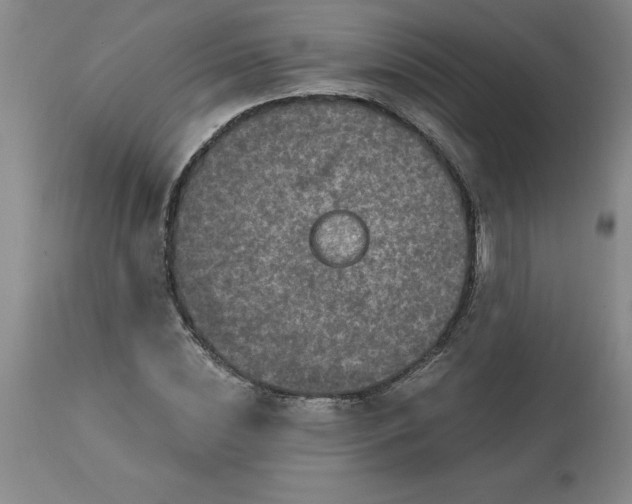 X0000113120828200909111137