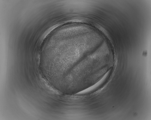 X0000113120829200909111137