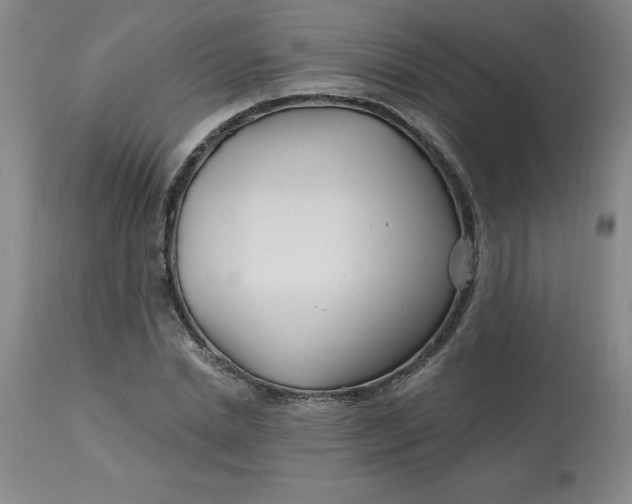 X0000113120830200909111137