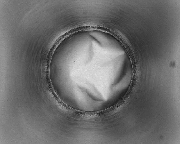 X0000113120831200909111137