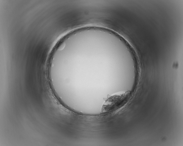 X0000113120832200909111137