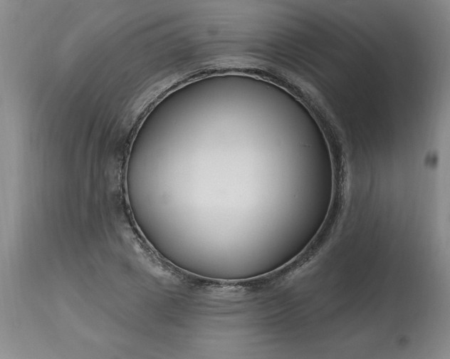 X0000113120833200909111137