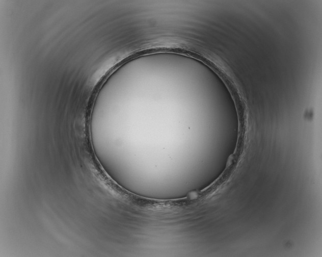 X0000113120834200909111137