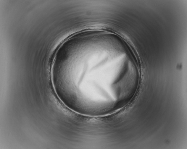 X0000113120835200909111137