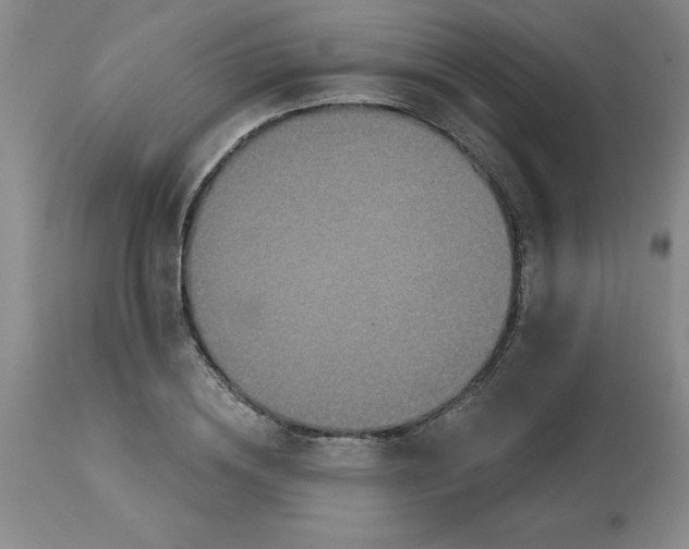 X0000113120836200909111137