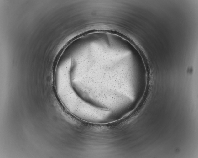 X0000113120837200909111137