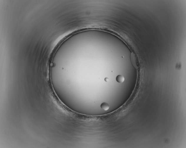 X0000113120838200909111137