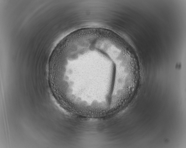 X0000113120839200909111137