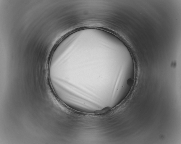 X0000113120840200909111137