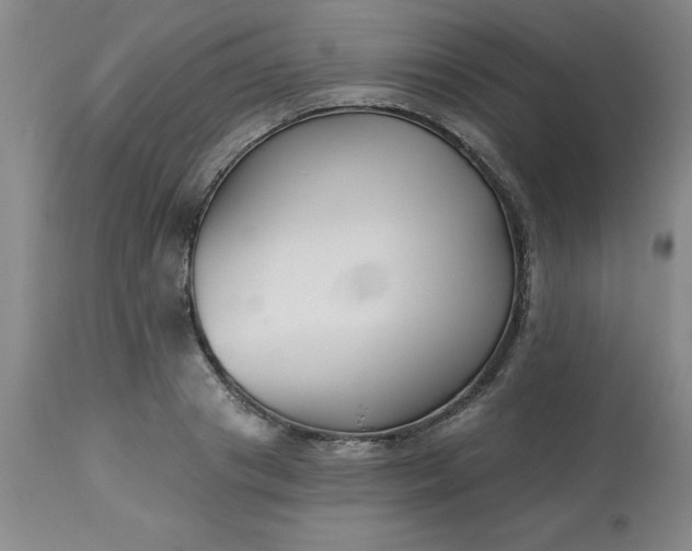 X0000113120841200909111137