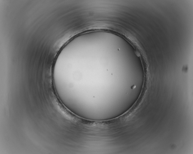 X0000113120842200909111137