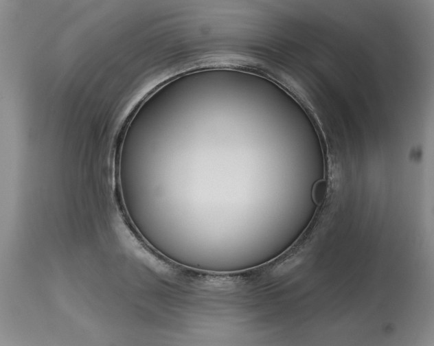 X0000113120843200909111137