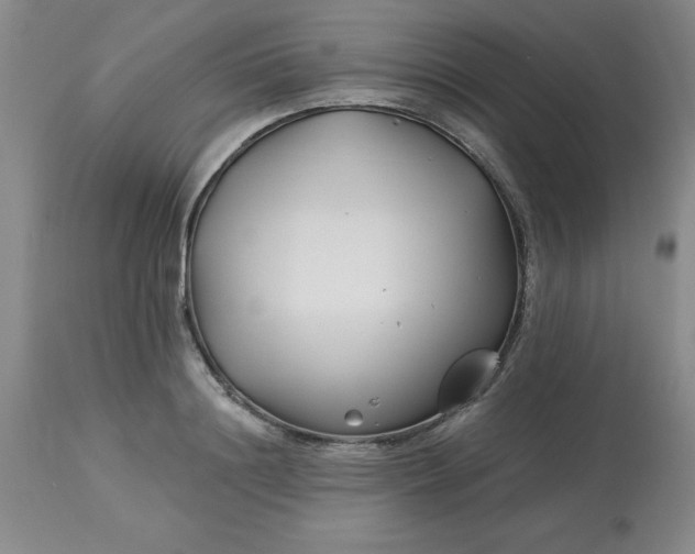 X0000113120844200909111137