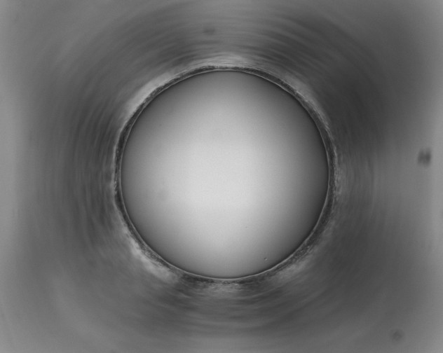 X0000113120845200909111137