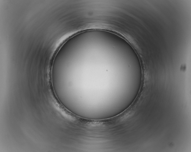 X0000113120846200909111137