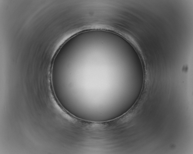 X0000113120847200909111137