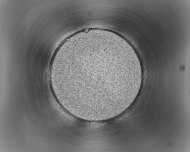 X0000113120848200909111137