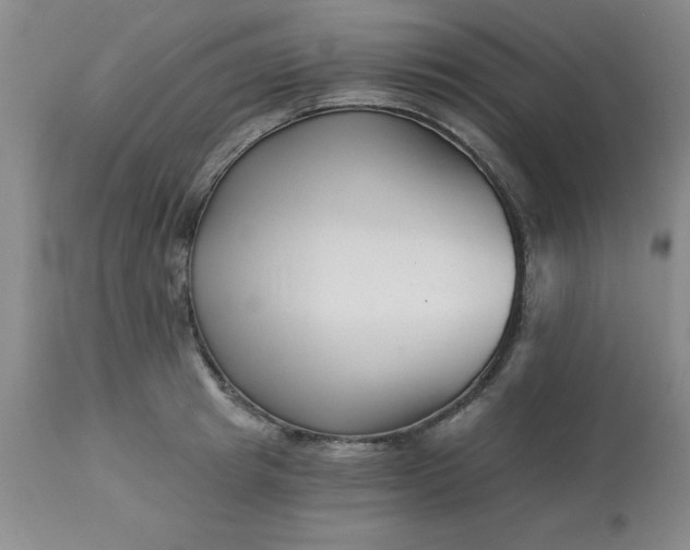 X0000113120849200909111138