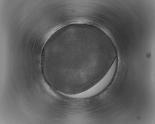 X0000113120850200909111138