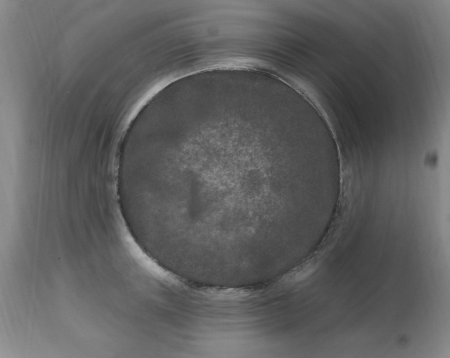 X0000113120851200909111138