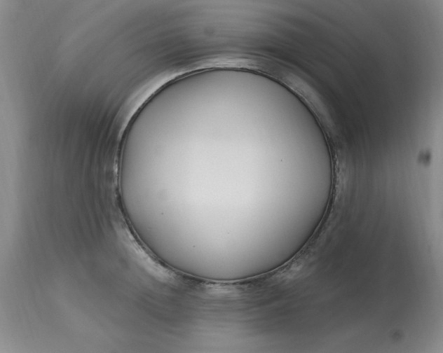 X0000113120852200909111138