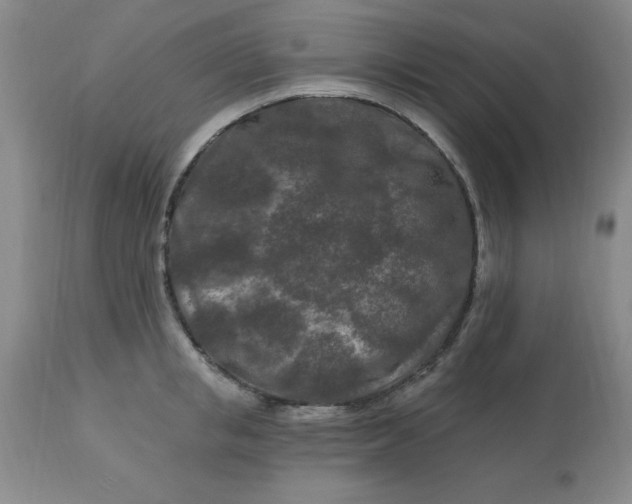 X0000113120853200909111138