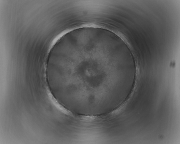 X0000113120854200909111138