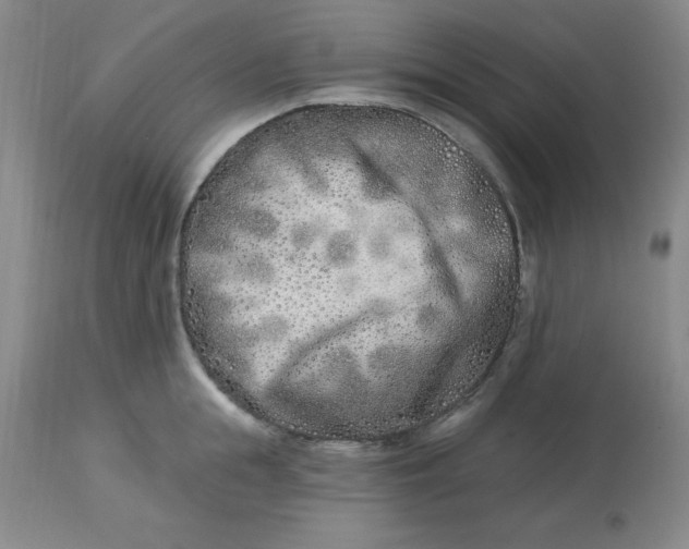 X0000113120855200909111138