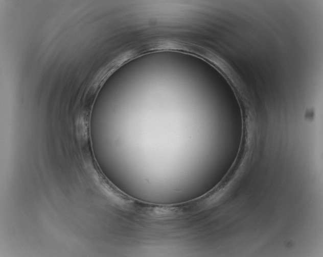 X0000113120857200909111138