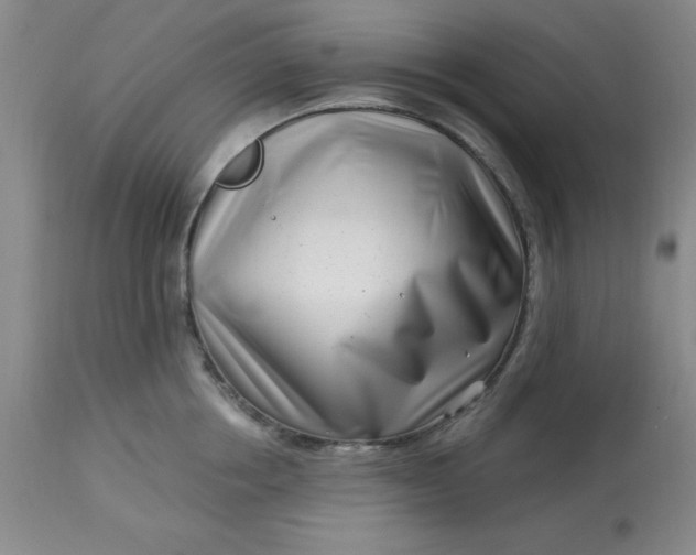 X0000113120858200909111138