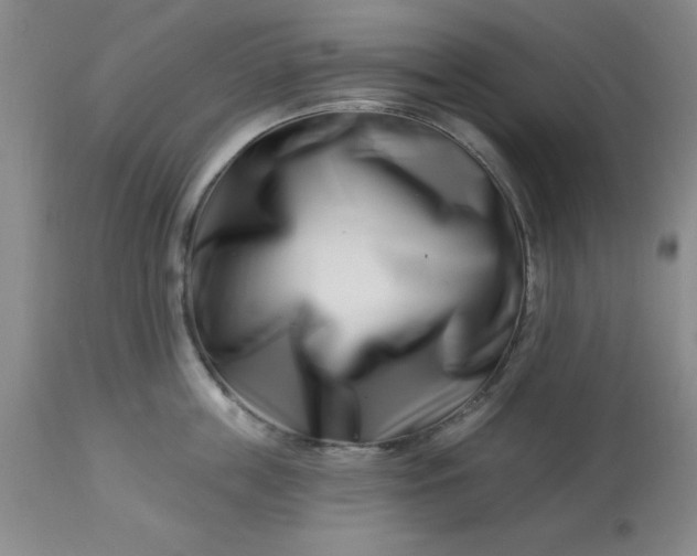 X0000113120859200909111138