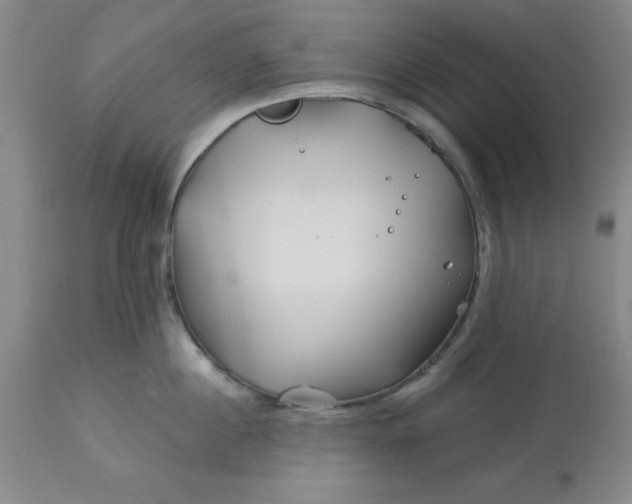 X0000113120860200909111138