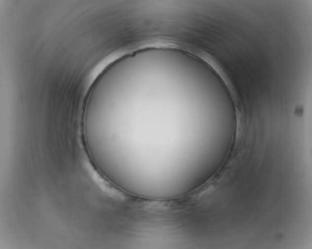 X0000113120861200909111138