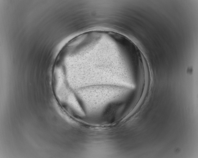 X0000113120862200909111138