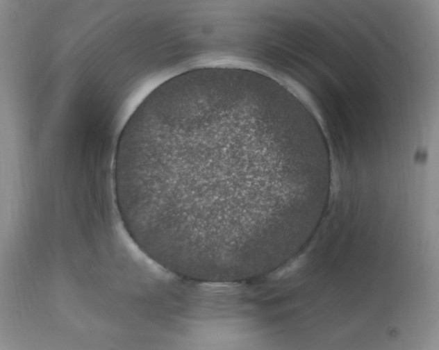 X0000113120863200909111138