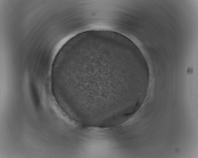 X0000113120864200909111138