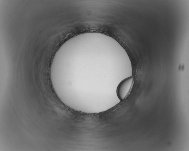 X0000113120865200909111137