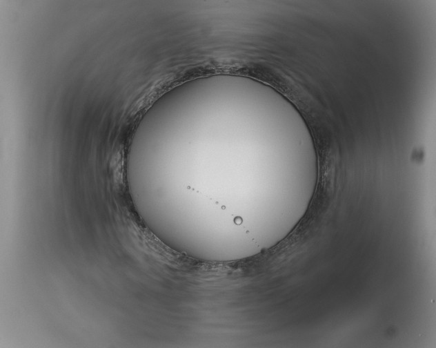 X0000113120866200909111137