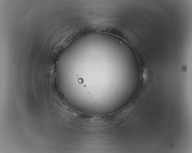 X0000113120867200909111137