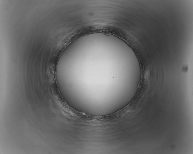 X0000113120868200909111137