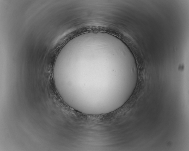 X0000113120870200909111137