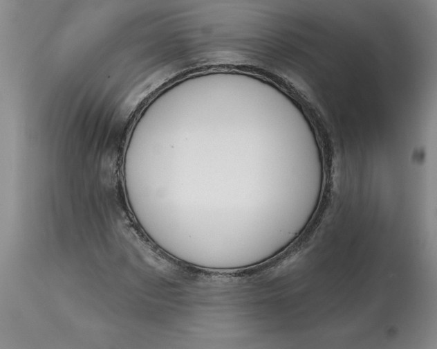 X0000113120873200909111137