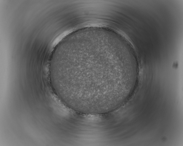 X0000113120874200909111137