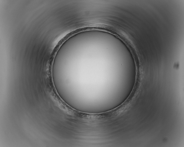 X0000113120875200909111137