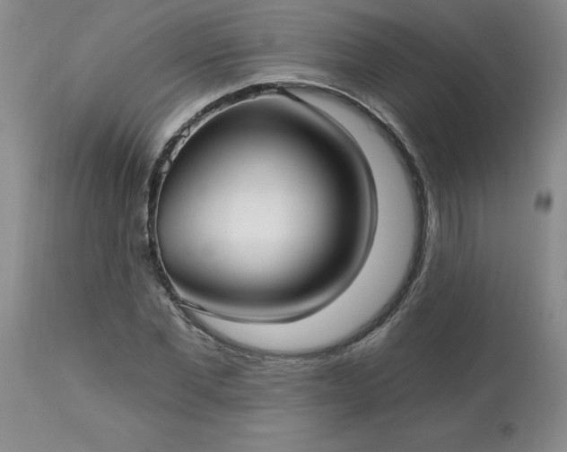 X0000113120877200909111137