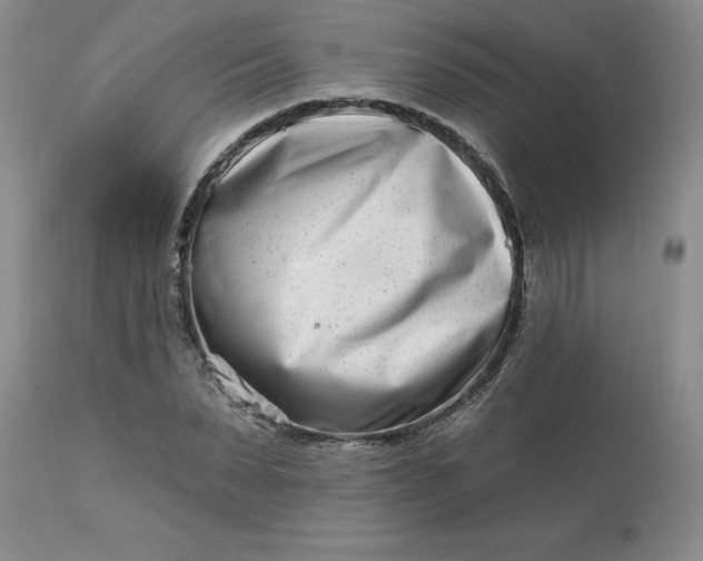 X0000113120879200909111137